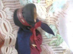sally ann doll_02